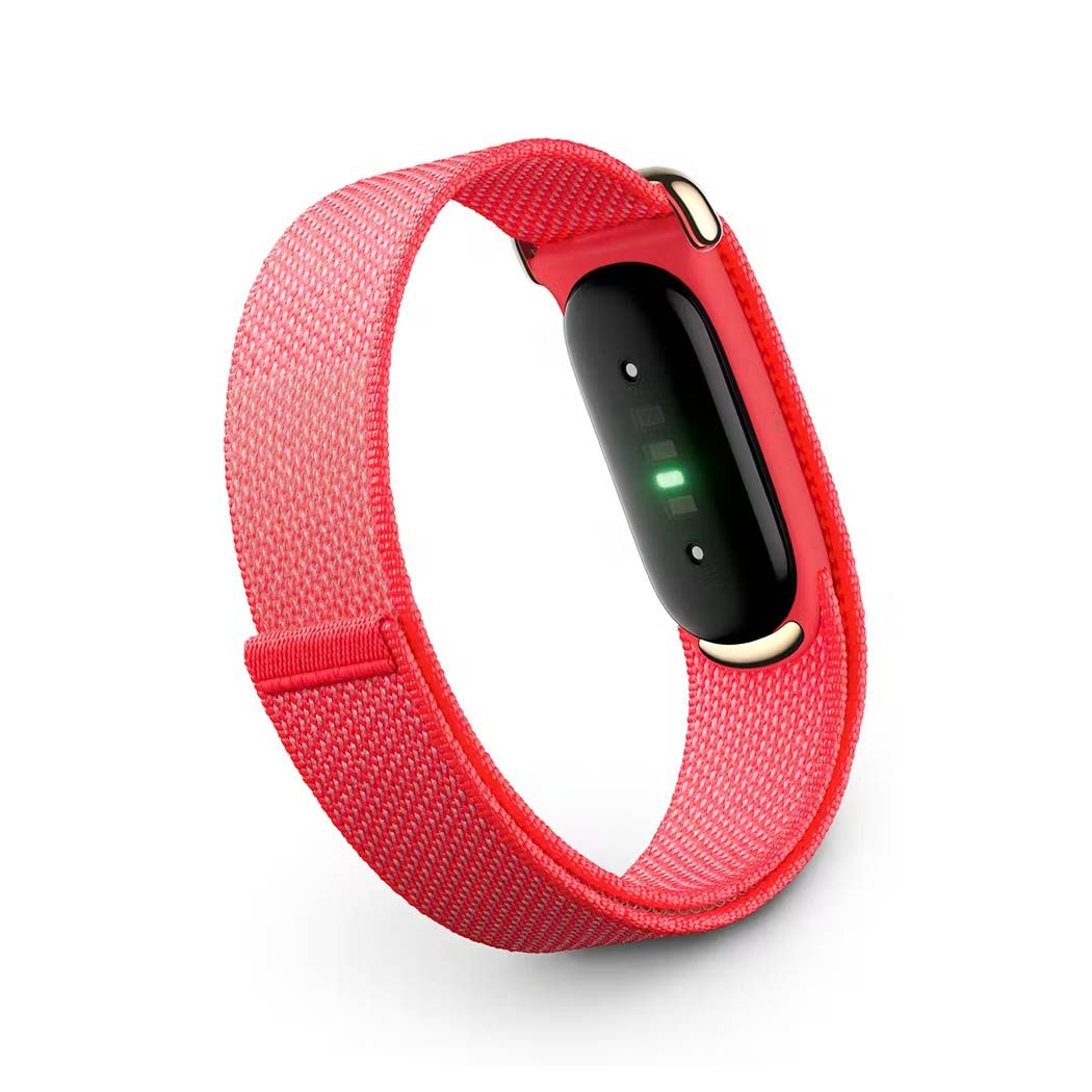 Фитнес-браслет Google Fitbit Air Berry